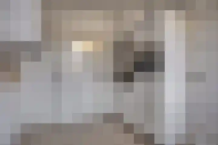 Duinweg 41 Zoutelande thumbnail 12