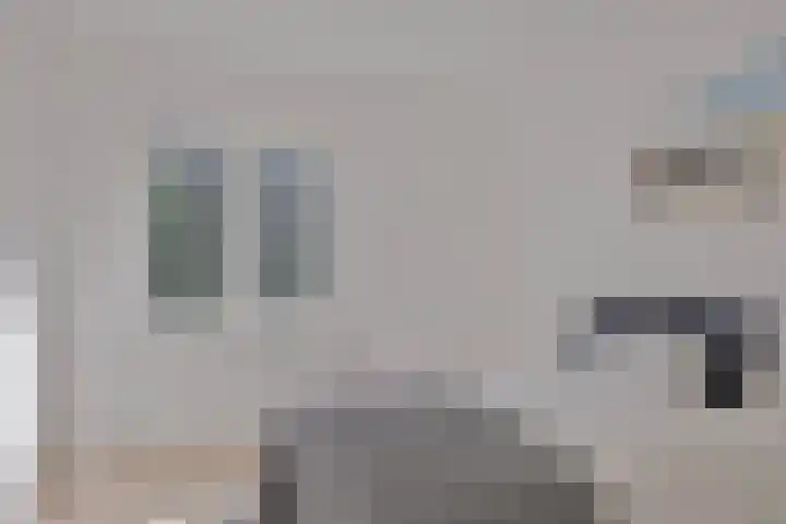 Duinweg 41 Zoutelande thumbnail 18