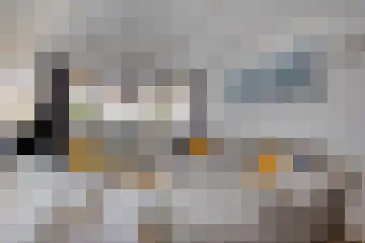 Duinweg 41 Zoutelande thumbnail 29
