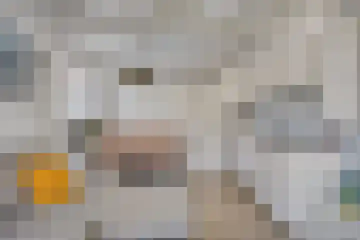 Duinweg 41 Zoutelande thumbnail 30