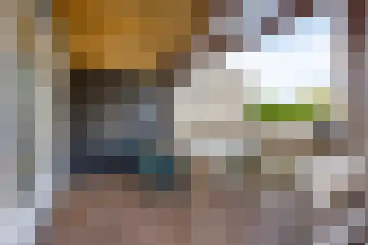 Duinweg 41 Zoutelande thumbnail 35