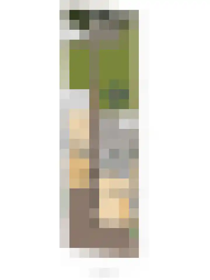 Duinweg 41 Zoutelande thumbnail 48