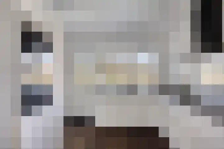 Duinweg 9 Renesse thumbnail 10
