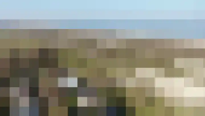 Duinweg 9 Renesse thumbnail 37