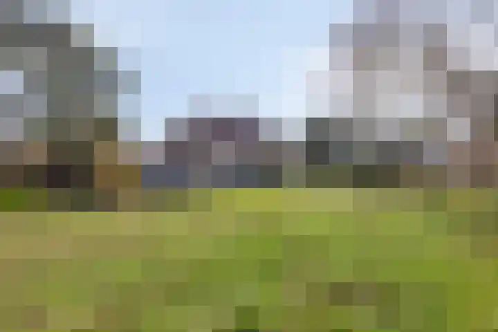 Duinweg 9 Renesse thumbnail 40