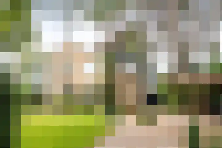 Duinwindelaan 3 dans Bentveld