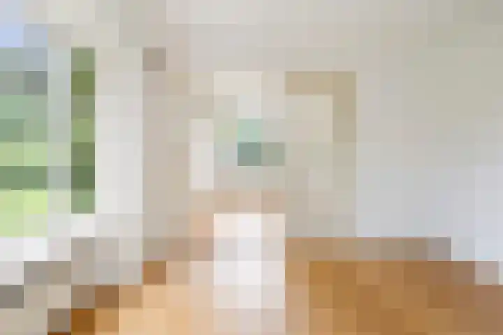 Duinwindelaan 3 Bentveld thumbnail 12
