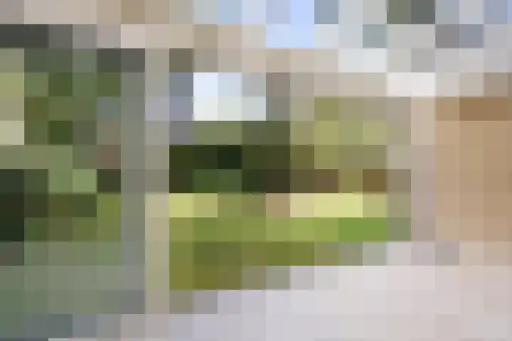 Duinwindelaan 3 Bentveld thumbnail 20
