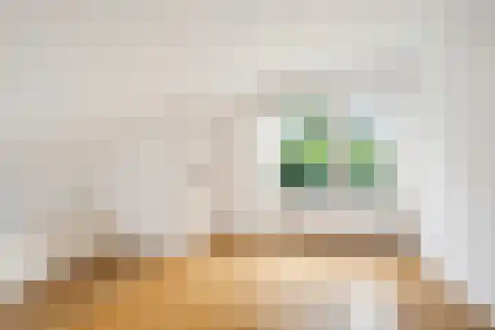 Duinwindelaan 3 Bentveld thumbnail 30