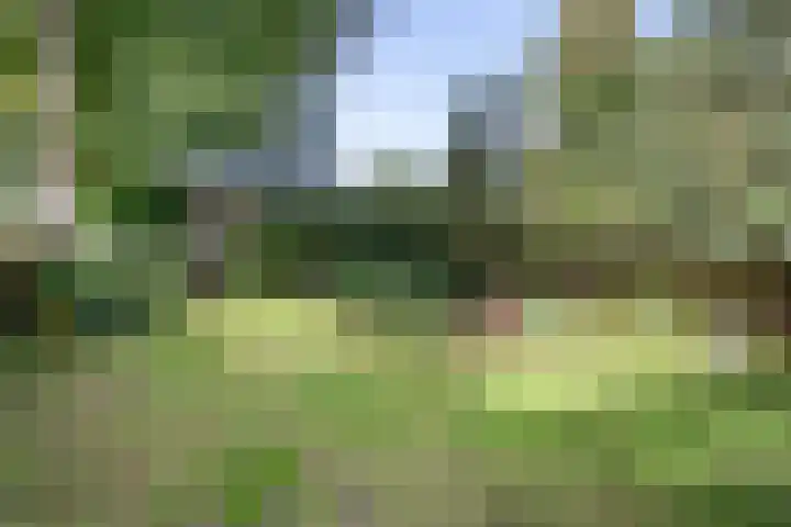 Duinwindelaan 3 Bentveld thumbnail 45