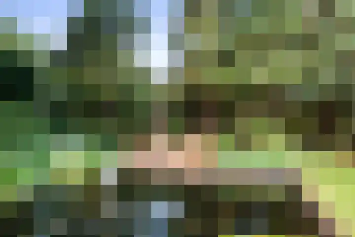 Duinwindelaan 3 Bentveld thumbnail 46