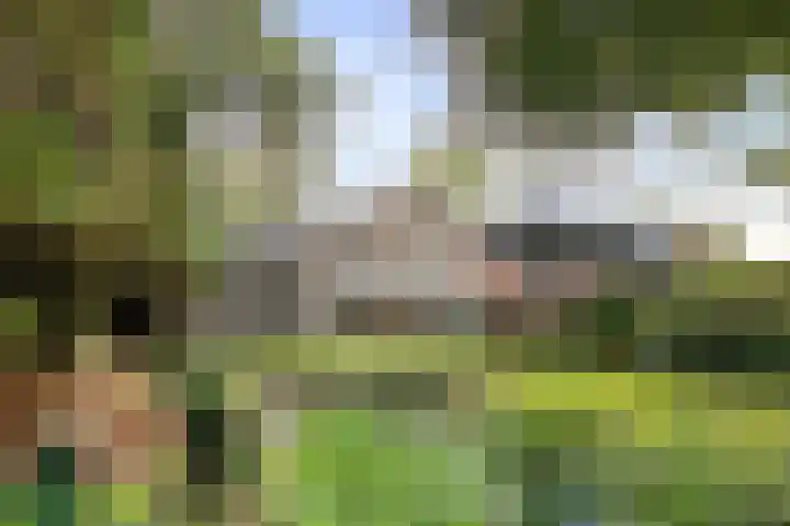 Duinwindelaan 3 Bentveld thumbnail 49