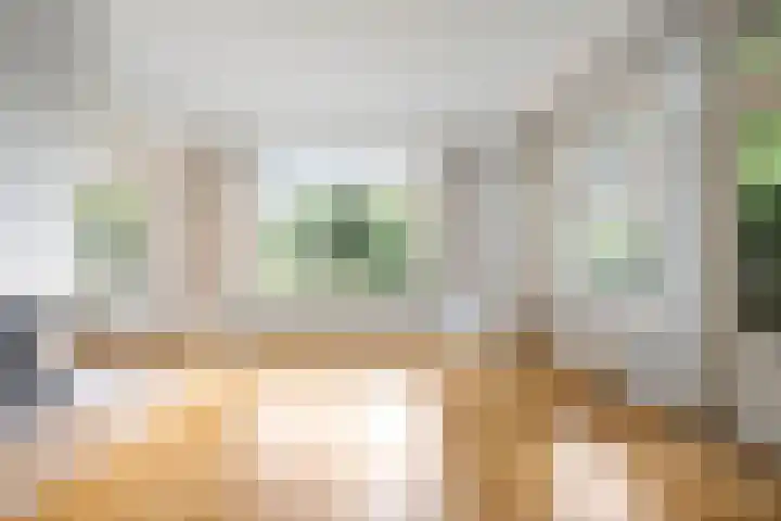 Duinwindelaan 3 Bentveld thumbnail 5
