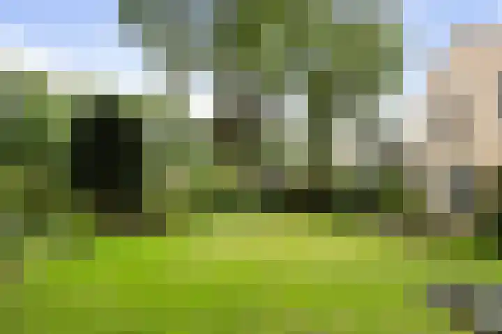 Duinwindelaan 3 Bentveld thumbnail 51