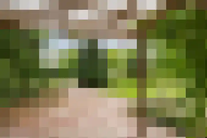 Duinwindelaan 3 Bentveld thumbnail 55