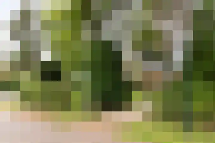 Duinwindelaan 3 Bentveld thumbnail 57
