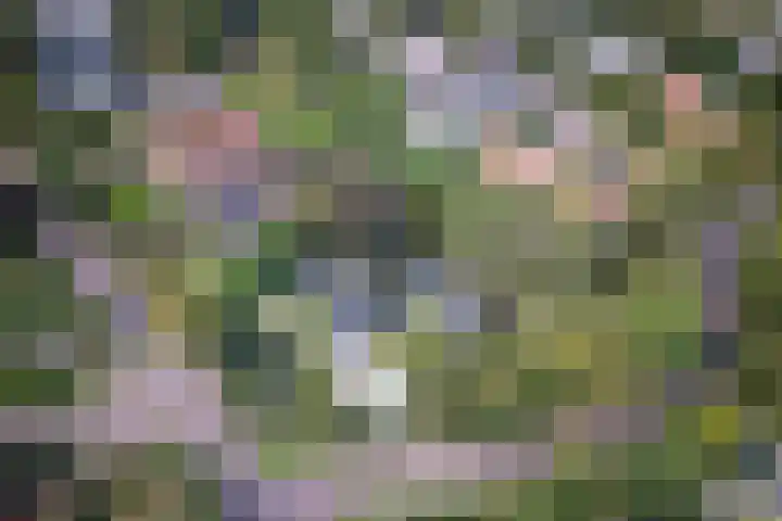 Duinwindelaan 3 Bentveld thumbnail 60