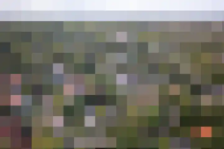Duinwindelaan 3 Bentveld thumbnail 61