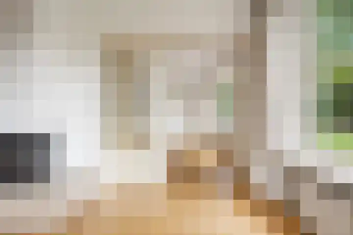 Duinwindelaan 3 Bentveld thumbnail 8