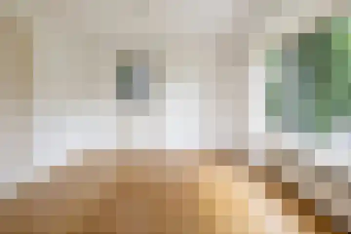 Duinwindelaan 3 Bentveld thumbnail 9