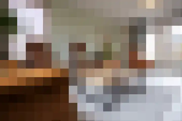 Duistelbeemd 1 Reusel thumbnail 12