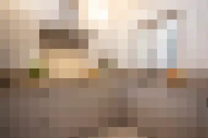 Duistelbeemd 1 Reusel thumbnail 25