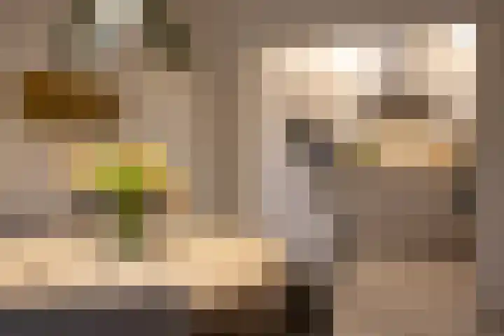 Duistelbeemd 1 Reusel thumbnail 26