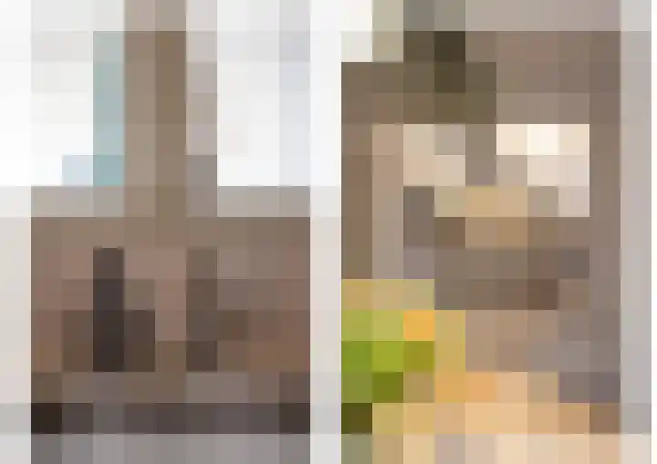 Duistelbeemd 1 Reusel thumbnail 27