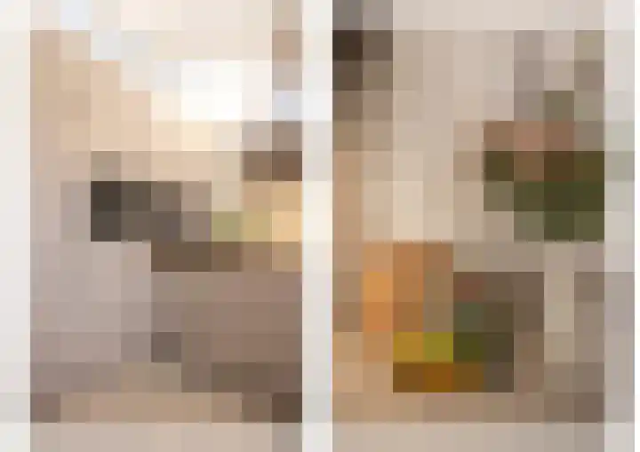 Duistelbeemd 1 Reusel thumbnail 29