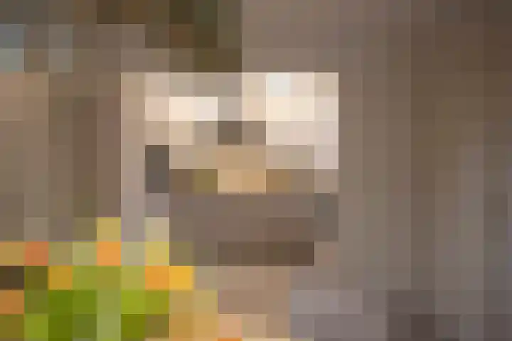 Duistelbeemd 1 Reusel thumbnail 30