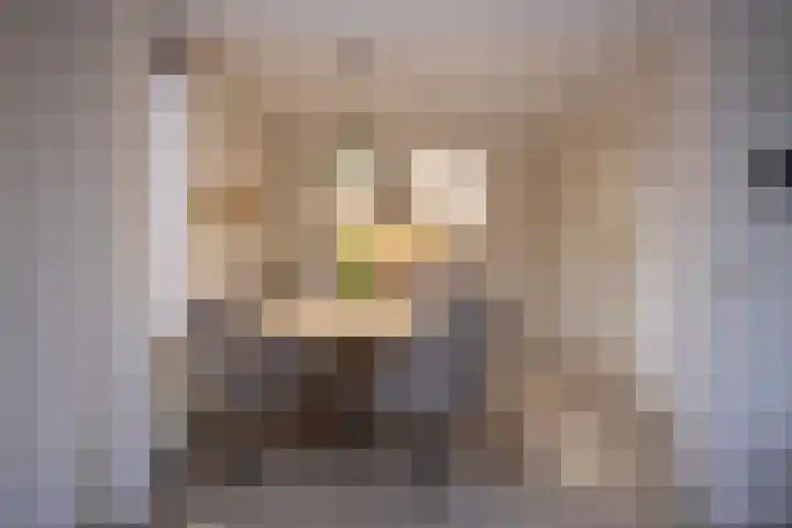 Duistelbeemd 1 Reusel thumbnail 32
