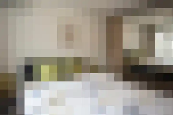 Duistelbeemd 1 Reusel thumbnail 34