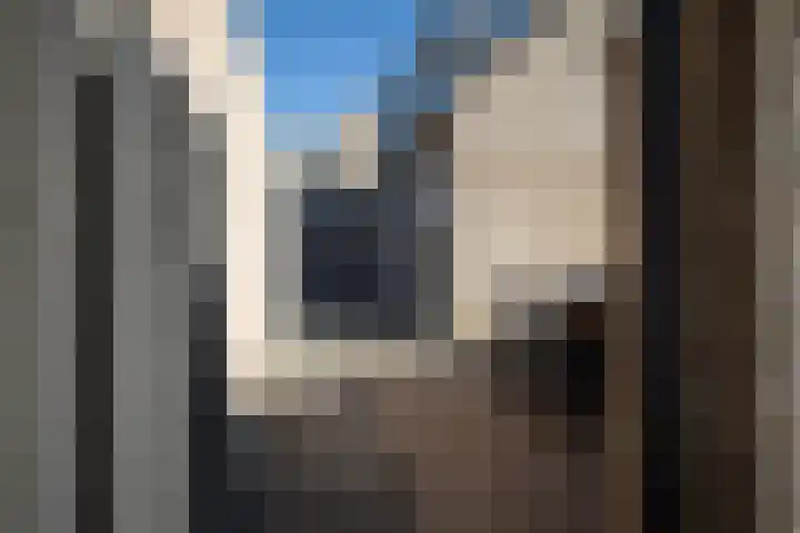 Duistelbeemd 1 Reusel thumbnail 40