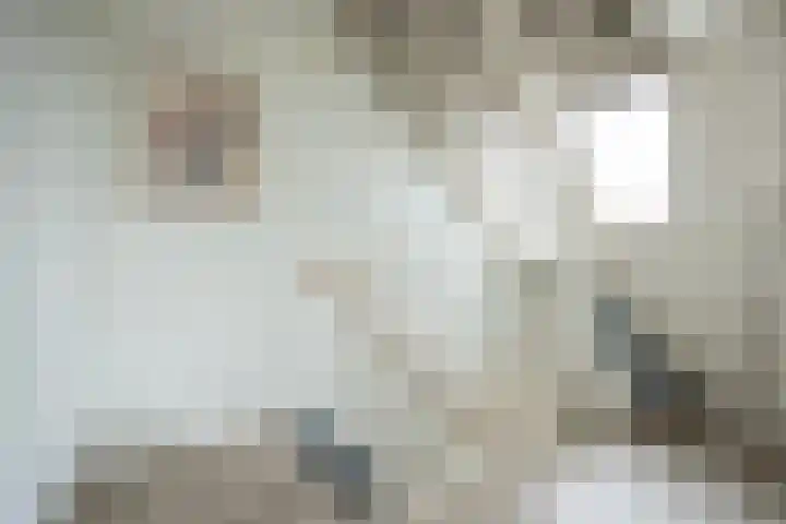 Duistelbeemd 1 Reusel thumbnail 43