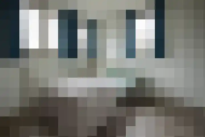 Duistelbeemd 1 Reusel thumbnail 44