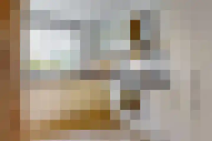 Duit 1 Leiderdorp thumbnail 11