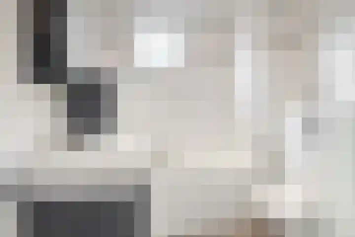 Duit 1 Leiderdorp thumbnail 19