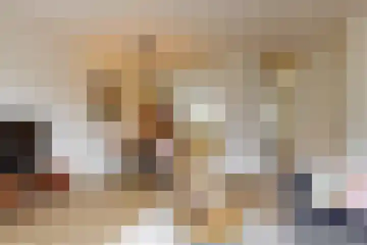 Duit 1 Leiderdorp foto 2