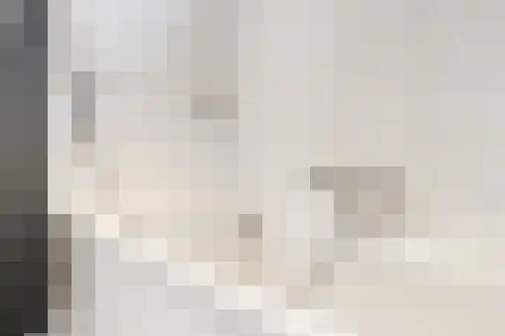 Duit 1 Leiderdorp thumbnail 20