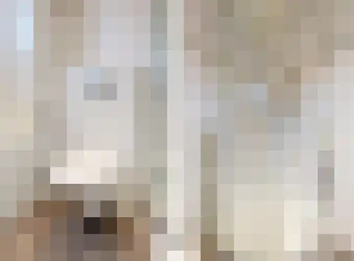 Duit 1 Leiderdorp thumbnail 21