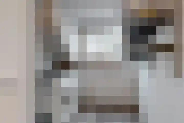 Duit 1 Leiderdorp thumbnail 22