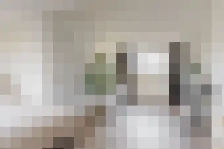 Duit 1 Leiderdorp thumbnail 23