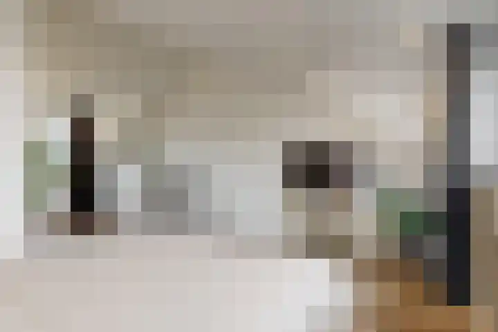 Duit 1 Leiderdorp thumbnail 24