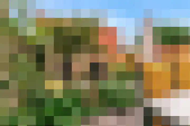 Duit 1 Leiderdorp thumbnail 25