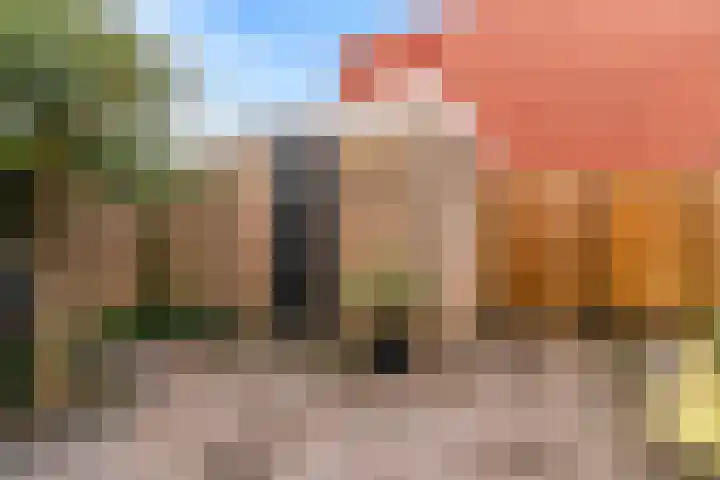 Duit 1 Leiderdorp thumbnail 26