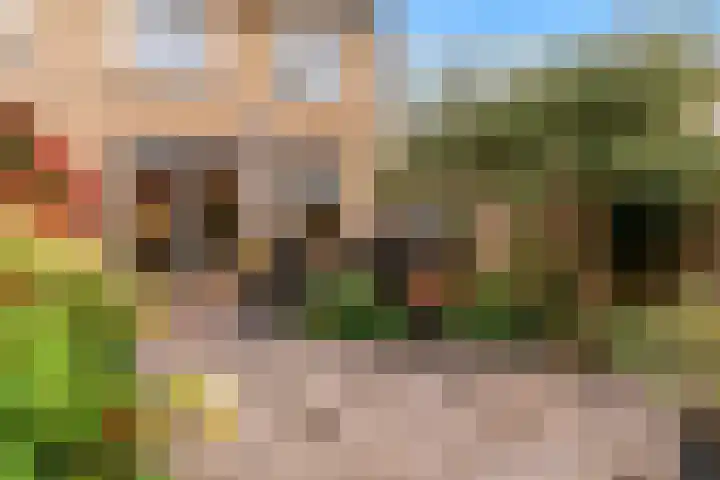 Duit 1 Leiderdorp thumbnail 27