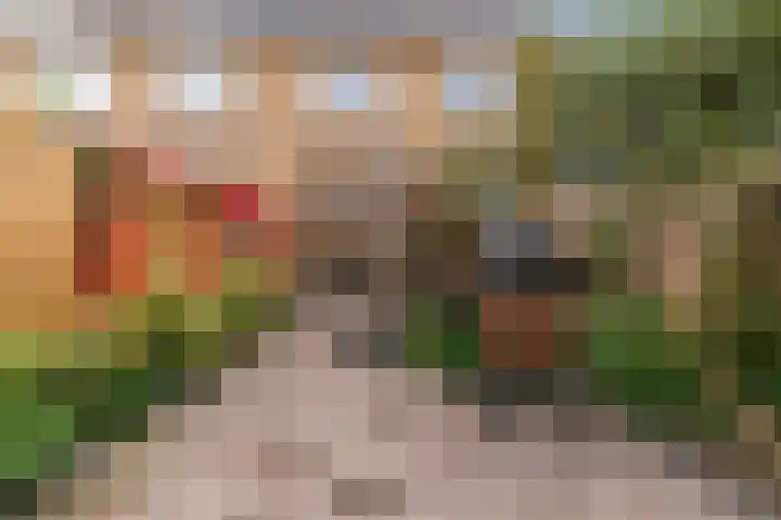 Duit 1 Leiderdorp thumbnail 28