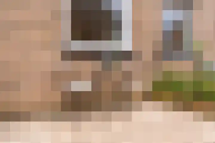 Duit 1 Leiderdorp thumbnail 30