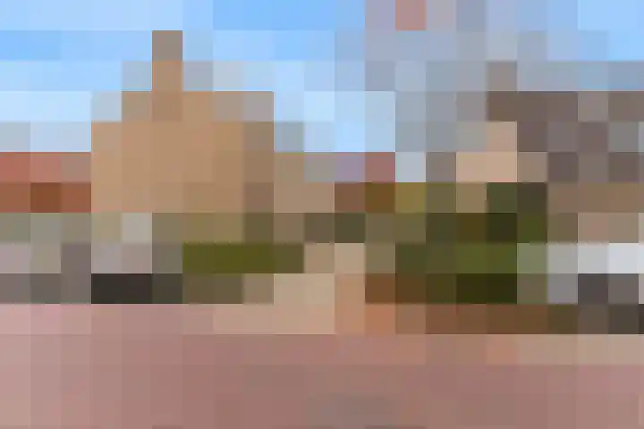 Duit 1 Leiderdorp thumbnail 31