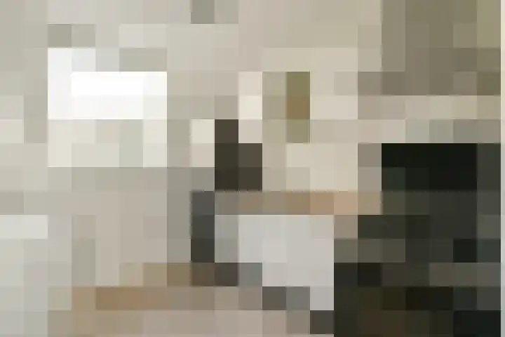 Duit 1 Leiderdorp thumbnail 6